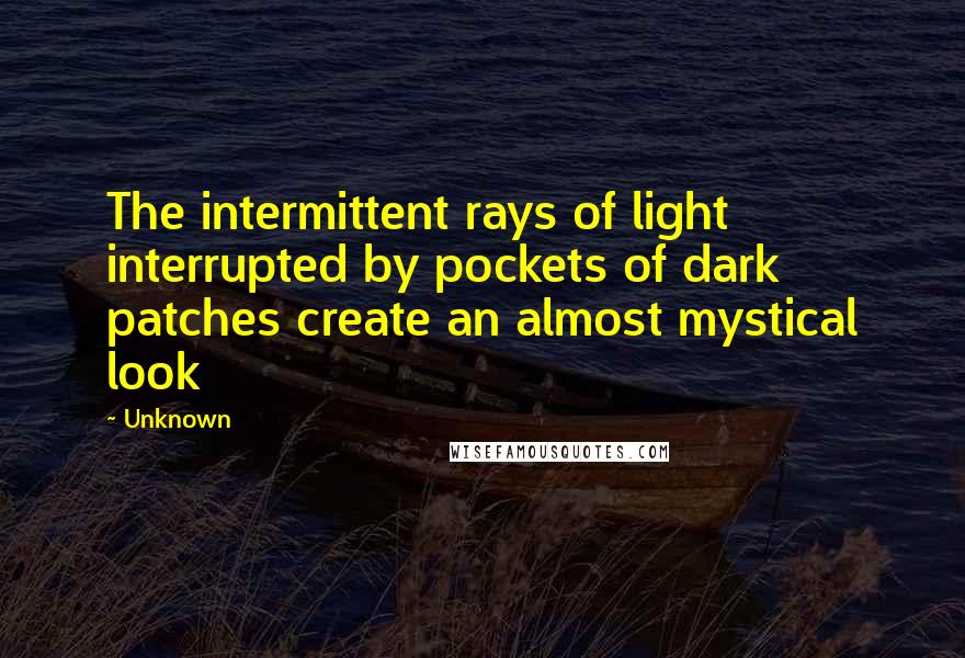 Unknown Quotes: The intermittent rays of light interrupted by pockets of dark patches create an almost mystical look