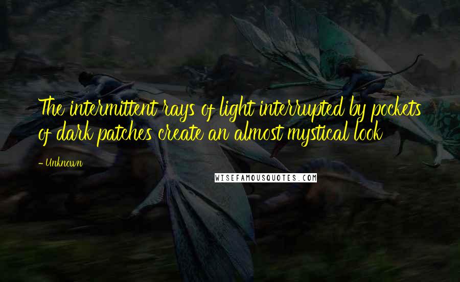 Unknown Quotes: The intermittent rays of light interrupted by pockets of dark patches create an almost mystical look