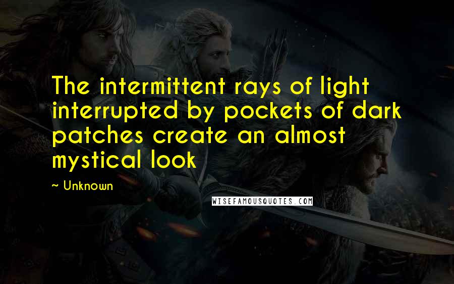 Unknown Quotes: The intermittent rays of light interrupted by pockets of dark patches create an almost mystical look