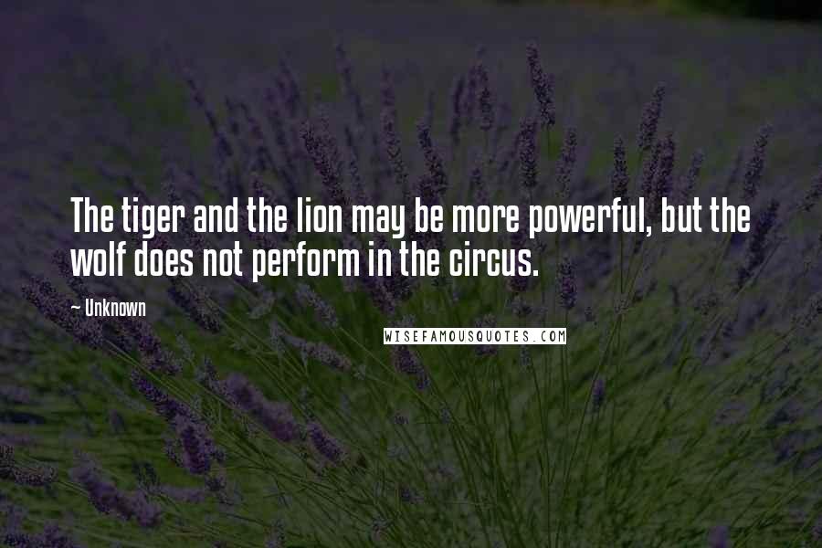 Unknown Quotes: The tiger and the lion may be more powerful, but the wolf does not perform in the circus.