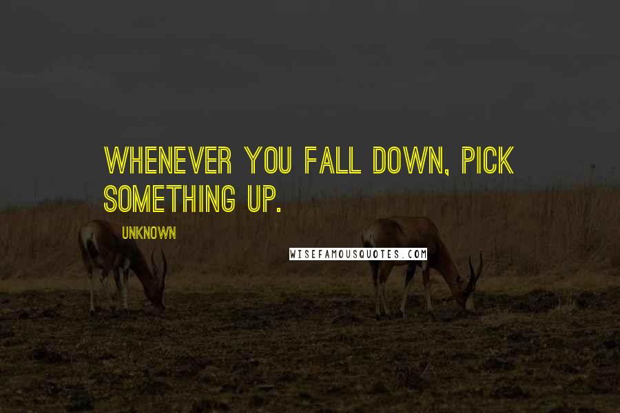 Unknown Quotes: Whenever you fall down, pick something up.