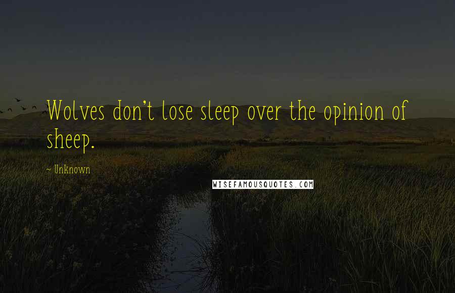 Unknown Quotes: Wolves don't lose sleep over the opinion of sheep.