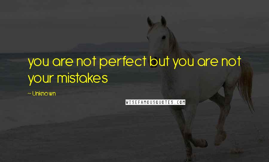 Unknown Quotes: you are not perfect but you are not your mistakes