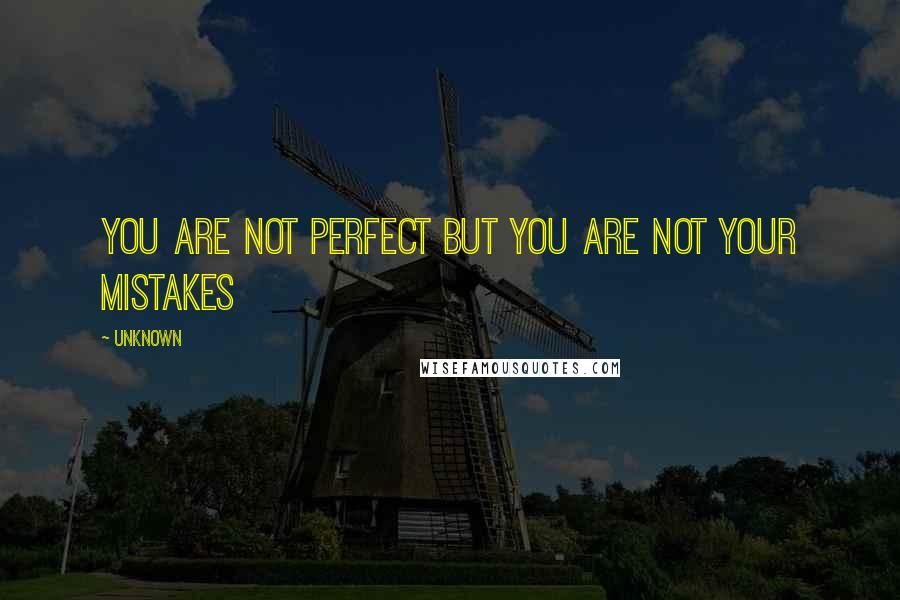 Unknown Quotes: you are not perfect but you are not your mistakes