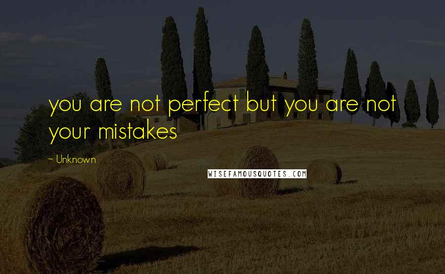 Unknown Quotes: you are not perfect but you are not your mistakes