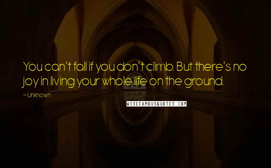 Unknown Quotes: You can't fall if you don't climb. But there's no joy in living your whole life on the ground.