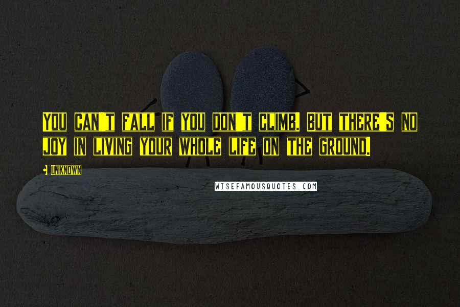 Unknown Quotes: You can't fall if you don't climb. But there's no joy in living your whole life on the ground.