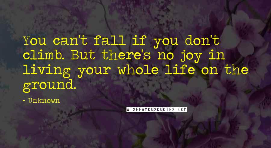 Unknown Quotes: You can't fall if you don't climb. But there's no joy in living your whole life on the ground.