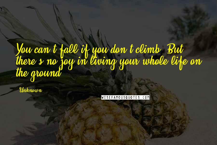 Unknown Quotes: You can't fall if you don't climb. But there's no joy in living your whole life on the ground.