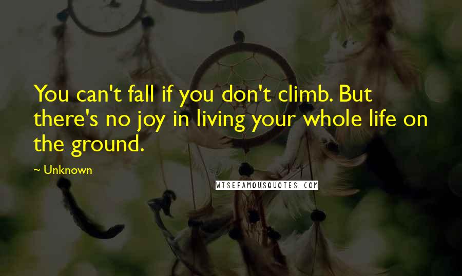 Unknown Quotes: You can't fall if you don't climb. But there's no joy in living your whole life on the ground.