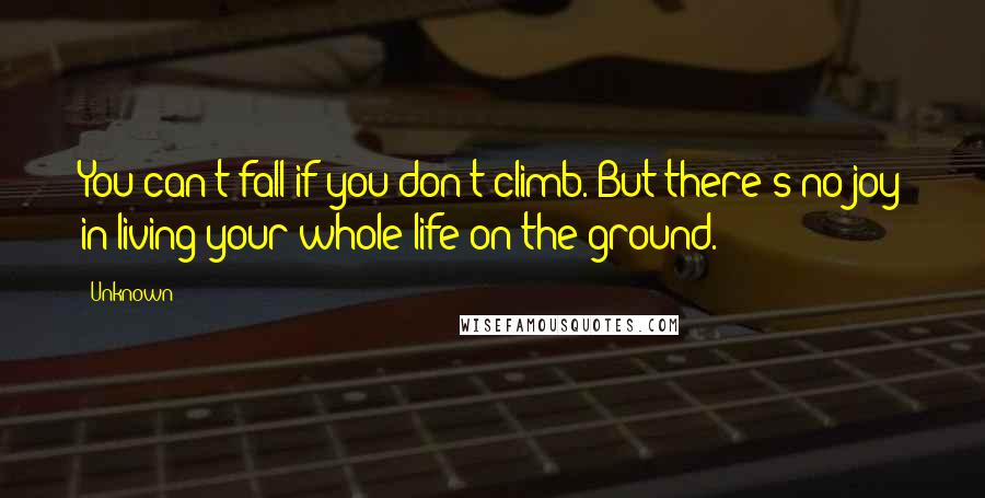 Unknown Quotes: You can't fall if you don't climb. But there's no joy in living your whole life on the ground.