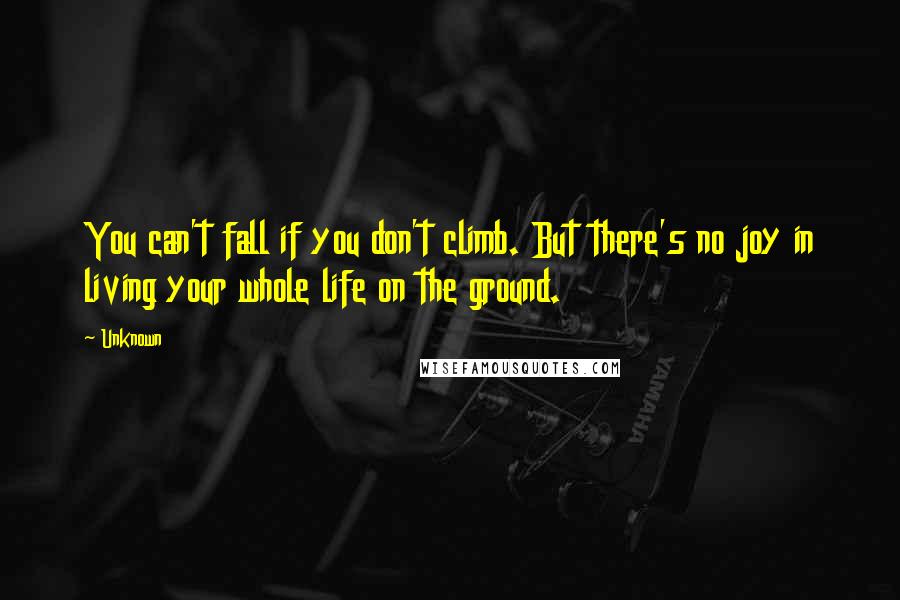 Unknown Quotes: You can't fall if you don't climb. But there's no joy in living your whole life on the ground.