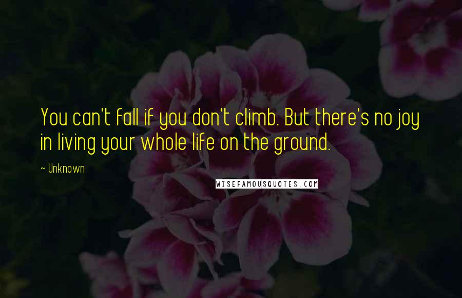 Unknown Quotes: You can't fall if you don't climb. But there's no joy in living your whole life on the ground.