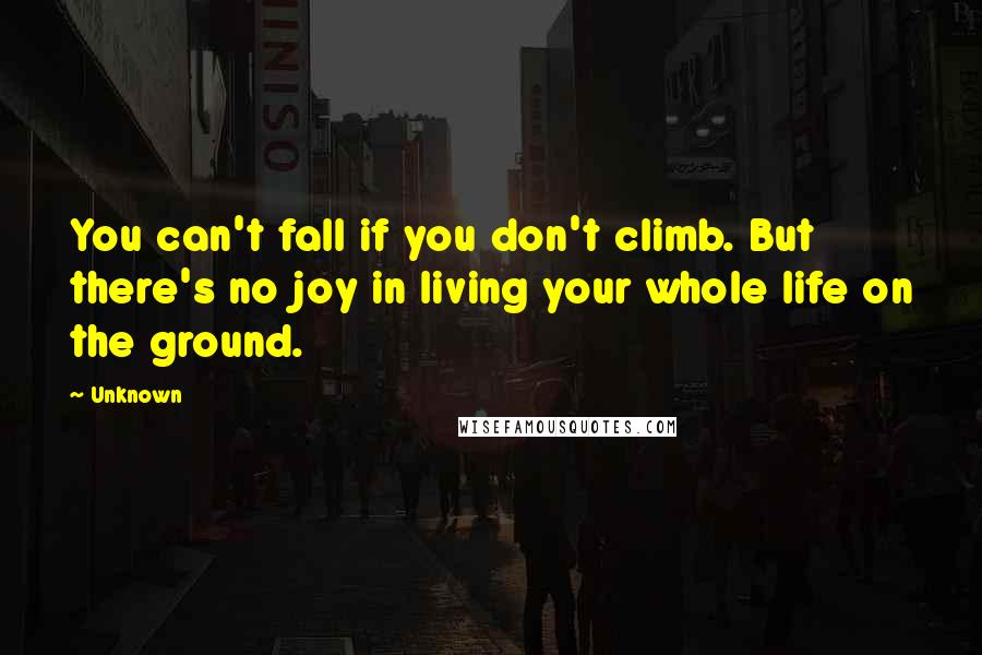 Unknown Quotes: You can't fall if you don't climb. But there's no joy in living your whole life on the ground.