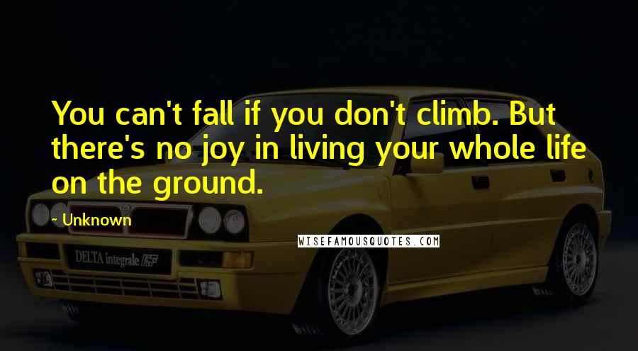 Unknown Quotes: You can't fall if you don't climb. But there's no joy in living your whole life on the ground.