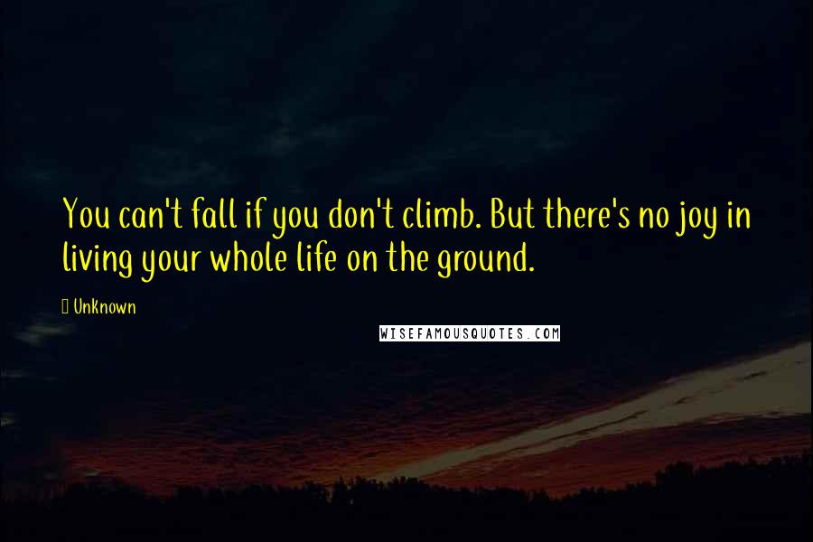 Unknown Quotes: You can't fall if you don't climb. But there's no joy in living your whole life on the ground.