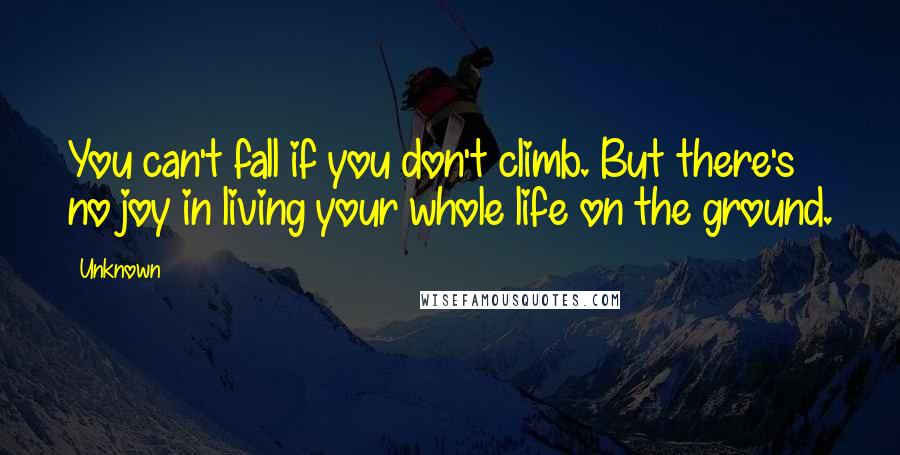 Unknown Quotes: You can't fall if you don't climb. But there's no joy in living your whole life on the ground.