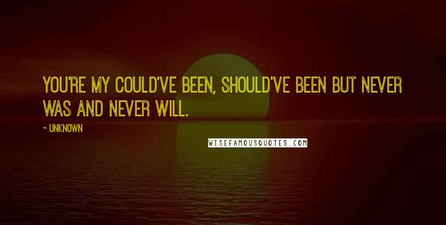 Unknown Quotes: You're my could've been, should've been but never was and never will.