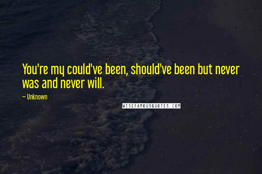 Unknown Quotes: You're my could've been, should've been but never was and never will.
