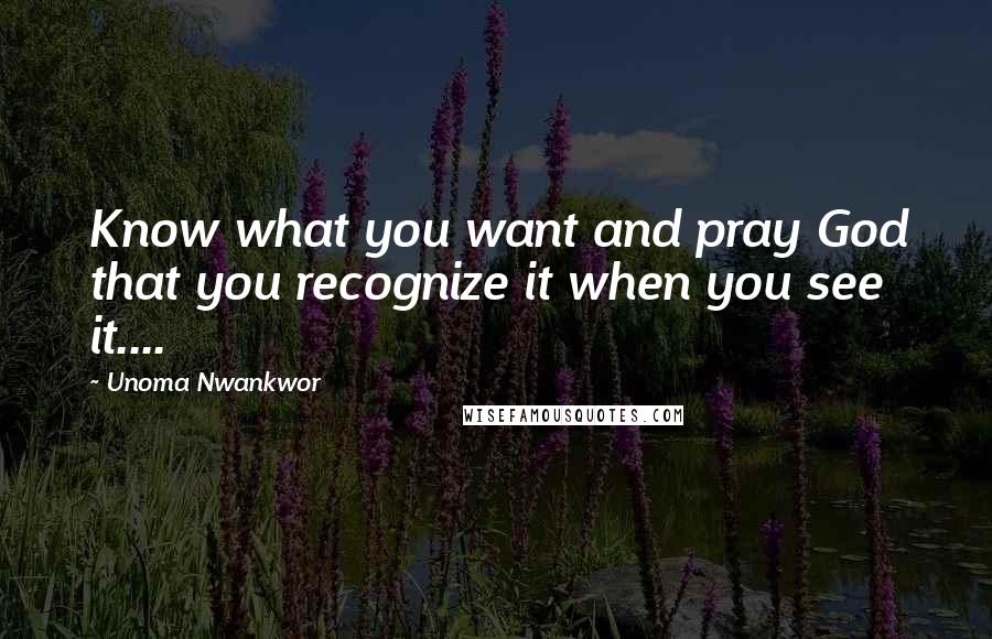 Unoma Nwankwor Quotes: Know what you want and pray God that you recognize it when you see it....