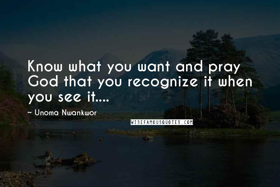 Unoma Nwankwor Quotes: Know what you want and pray God that you recognize it when you see it....