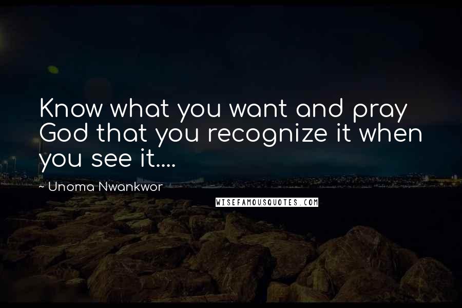 Unoma Nwankwor Quotes: Know what you want and pray God that you recognize it when you see it....