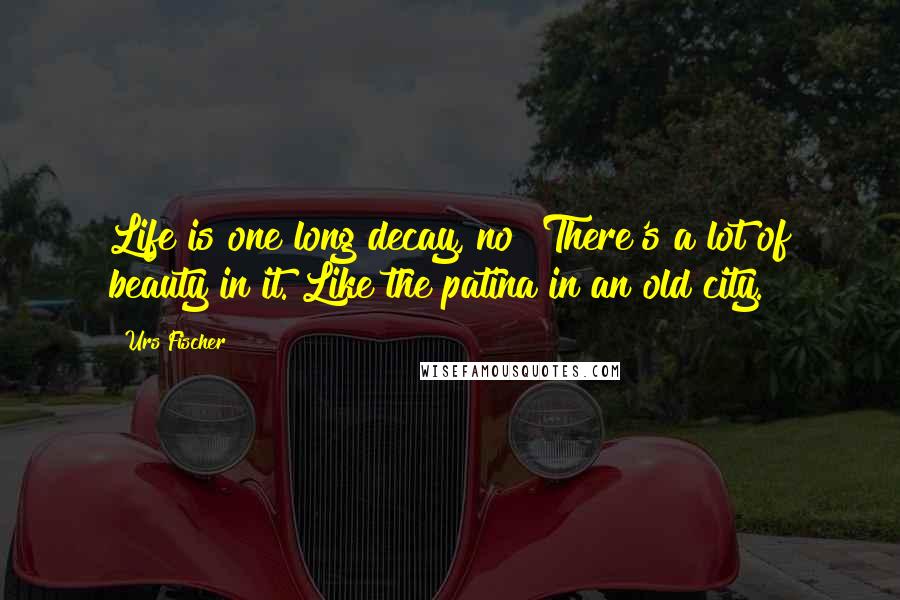 Urs Fischer Quotes: Life is one long decay, no? There's a lot of beauty in it. Like the patina in an old city.