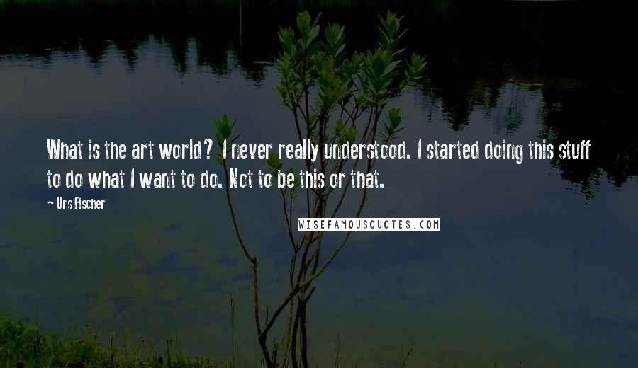 Urs Fischer Quotes: What is the art world? I never really understood. I started doing this stuff to do what I want to do. Not to be this or that.