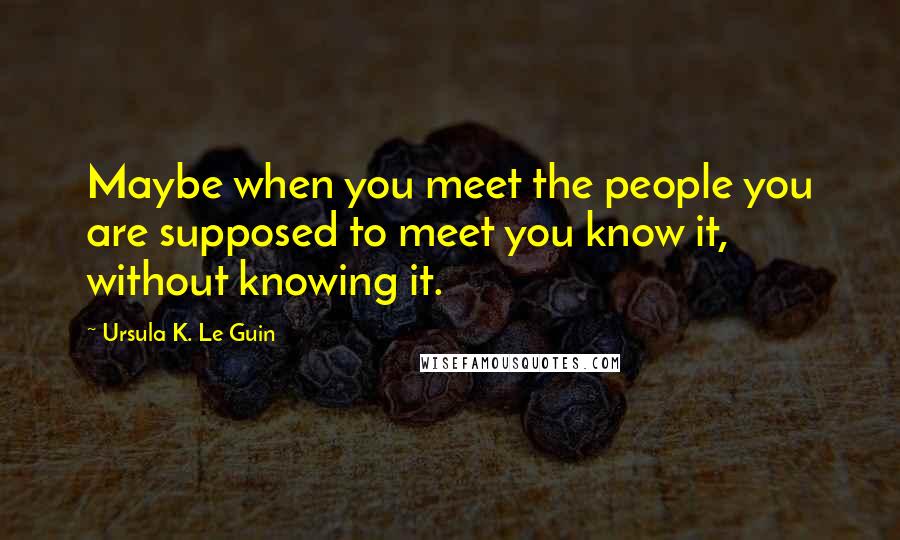 Ursula K. Le Guin Quotes: Maybe when you meet the people you are supposed to meet you know it, without knowing it.