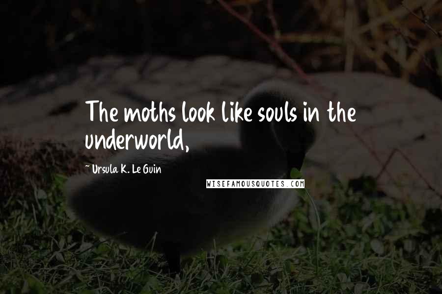 Ursula K. Le Guin Quotes: The moths look like souls in the underworld,