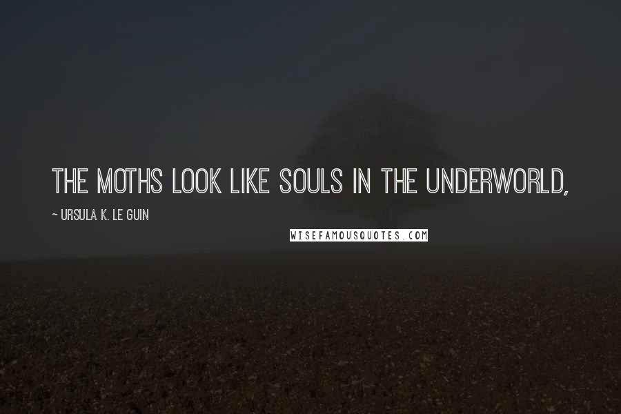 Ursula K. Le Guin Quotes: The moths look like souls in the underworld,