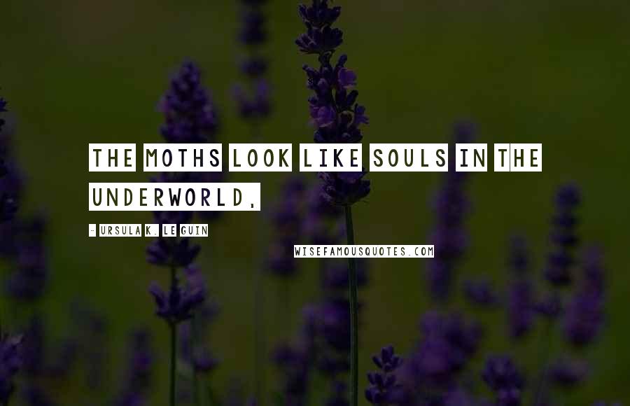 Ursula K. Le Guin Quotes: The moths look like souls in the underworld,