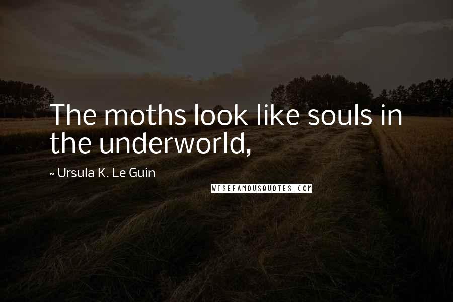 Ursula K. Le Guin Quotes: The moths look like souls in the underworld,