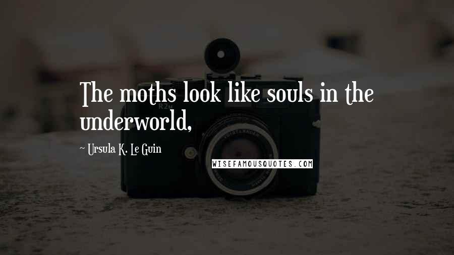 Ursula K. Le Guin Quotes: The moths look like souls in the underworld,