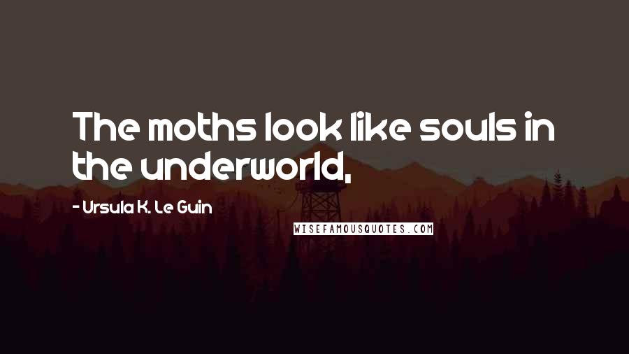 Ursula K. Le Guin Quotes: The moths look like souls in the underworld,