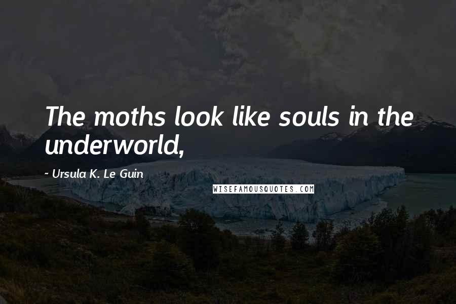 Ursula K. Le Guin Quotes: The moths look like souls in the underworld,