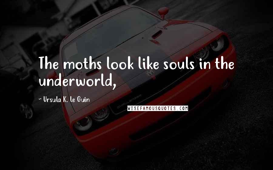 Ursula K. Le Guin Quotes: The moths look like souls in the underworld,