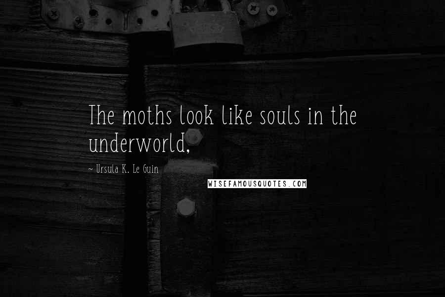 Ursula K. Le Guin Quotes: The moths look like souls in the underworld,