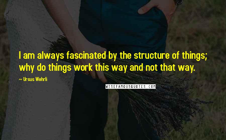 Ursus Wehrli Quotes: I am always fascinated by the structure of things; why do things work this way and not that way.