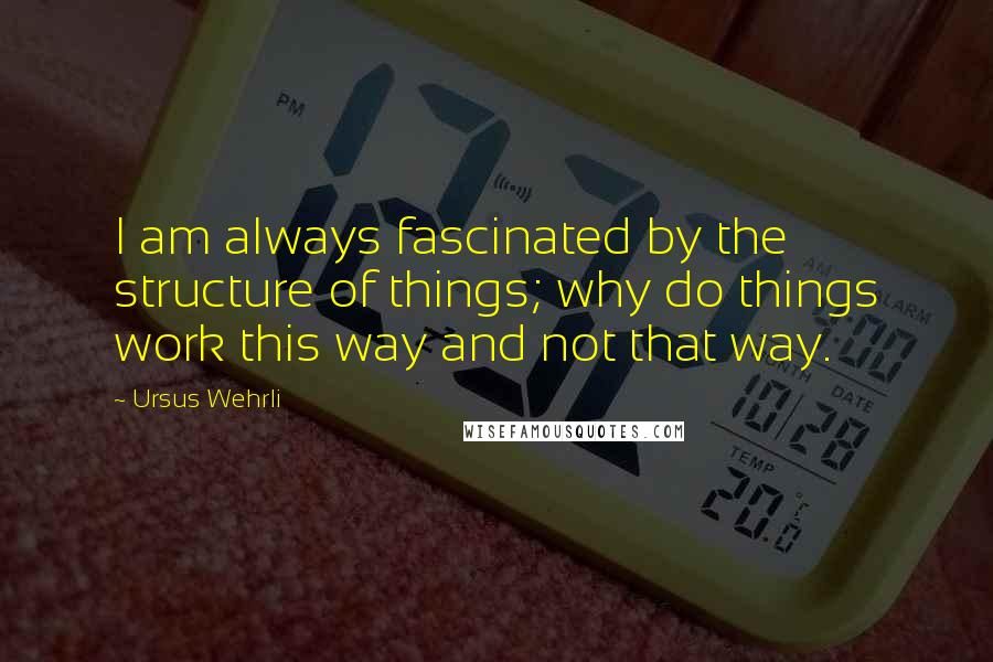 Ursus Wehrli Quotes: I am always fascinated by the structure of things; why do things work this way and not that way.