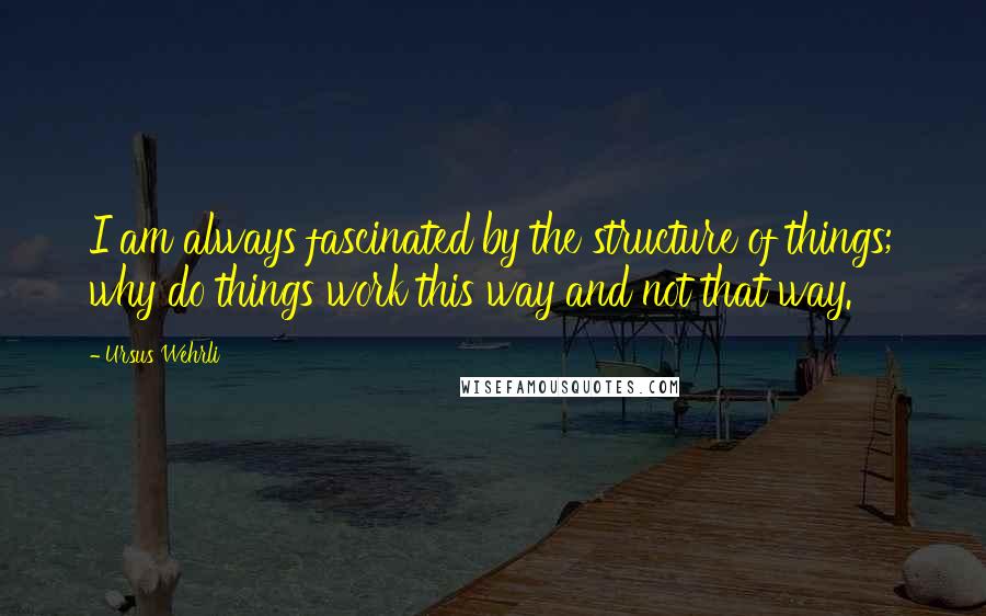 Ursus Wehrli Quotes: I am always fascinated by the structure of things; why do things work this way and not that way.