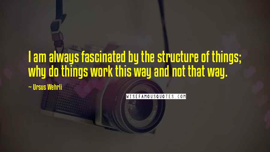Ursus Wehrli Quotes: I am always fascinated by the structure of things; why do things work this way and not that way.