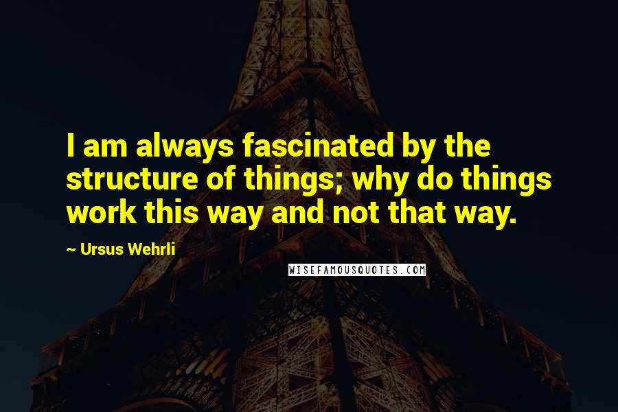 Ursus Wehrli Quotes: I am always fascinated by the structure of things; why do things work this way and not that way.