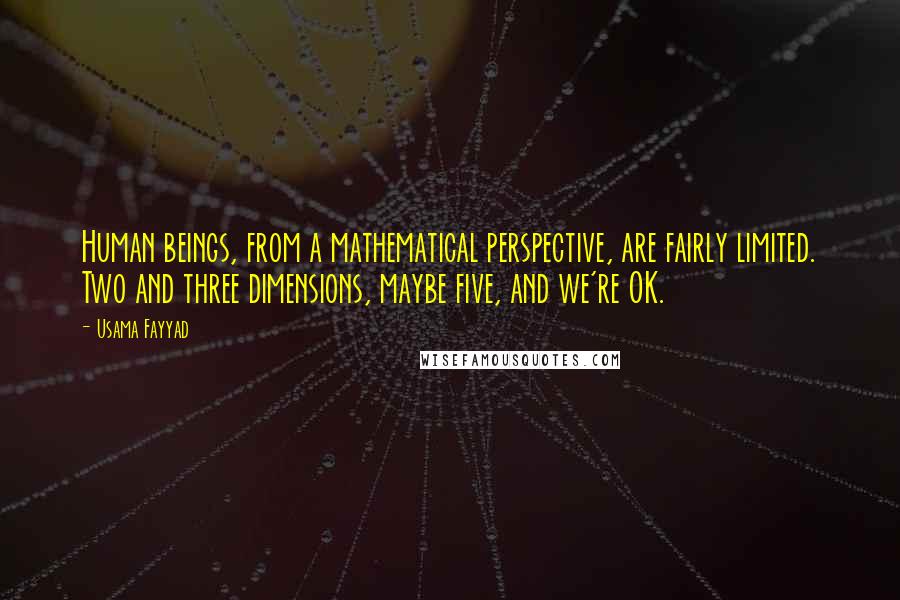 Usama Fayyad Quotes: Human beings, from a mathematical perspective, are fairly limited. Two and three dimensions, maybe five, and we're OK.