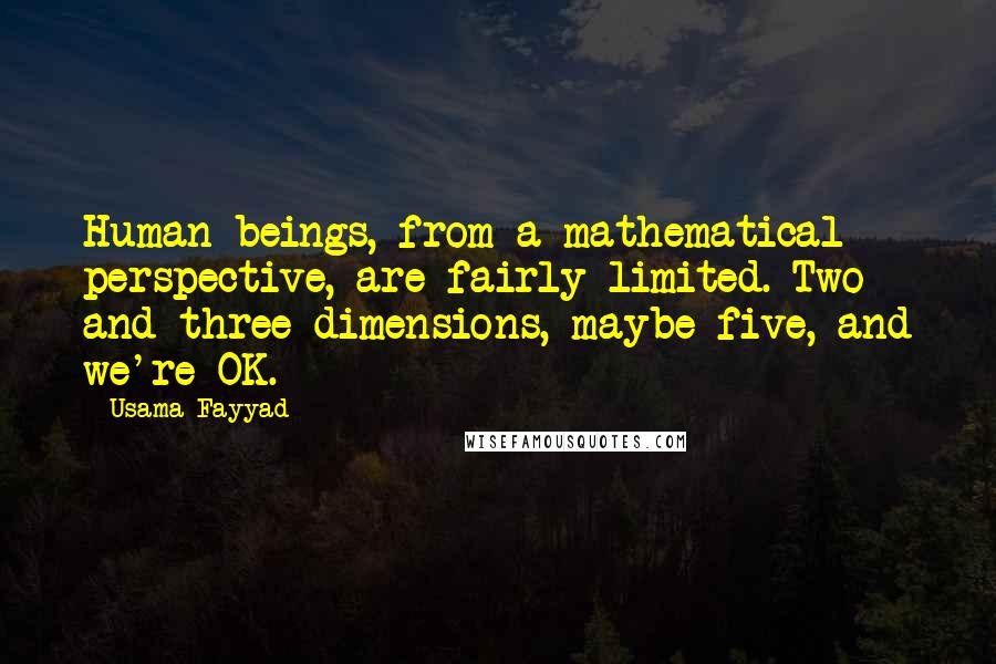 Usama Fayyad Quotes: Human beings, from a mathematical perspective, are fairly limited. Two and three dimensions, maybe five, and we're OK.