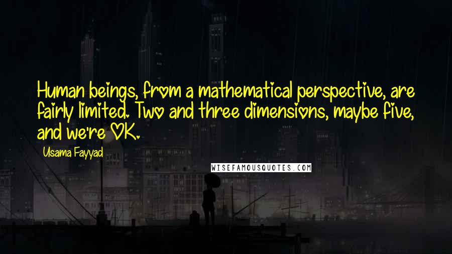 Usama Fayyad Quotes: Human beings, from a mathematical perspective, are fairly limited. Two and three dimensions, maybe five, and we're OK.