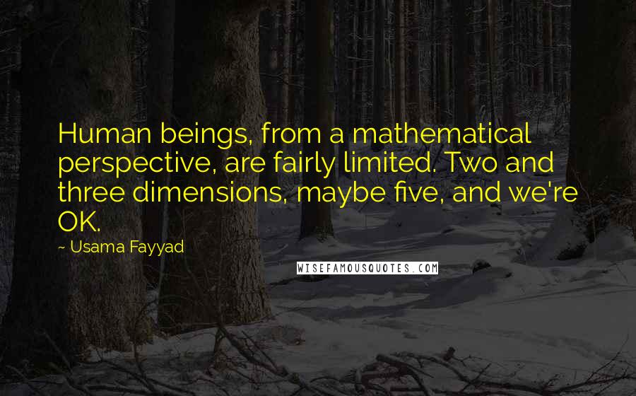 Usama Fayyad Quotes: Human beings, from a mathematical perspective, are fairly limited. Two and three dimensions, maybe five, and we're OK.