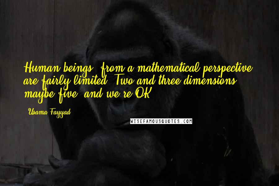 Usama Fayyad Quotes: Human beings, from a mathematical perspective, are fairly limited. Two and three dimensions, maybe five, and we're OK.