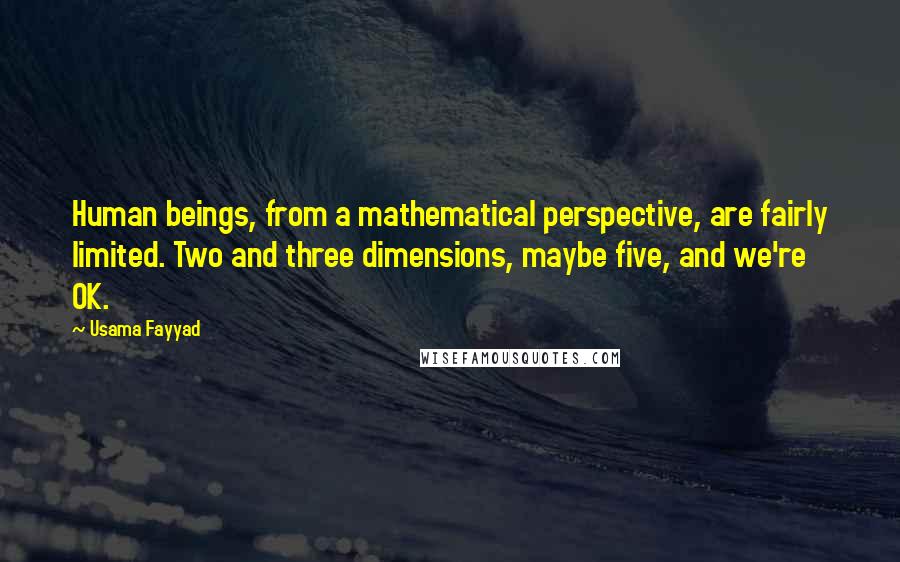 Usama Fayyad Quotes: Human beings, from a mathematical perspective, are fairly limited. Two and three dimensions, maybe five, and we're OK.