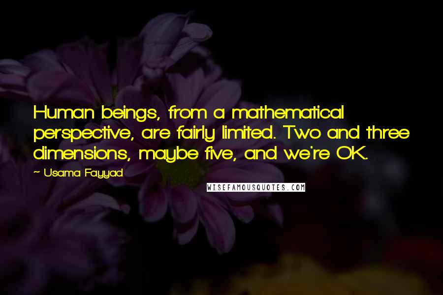 Usama Fayyad Quotes: Human beings, from a mathematical perspective, are fairly limited. Two and three dimensions, maybe five, and we're OK.